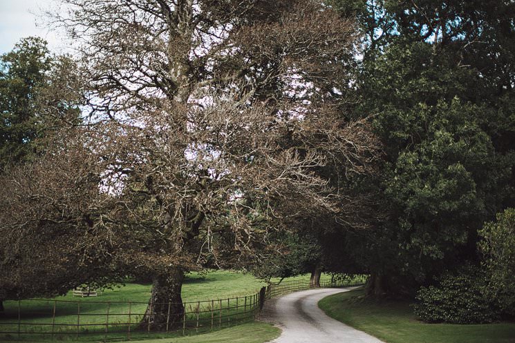 C+A | Ballyvolane House wedding | Irish wedding 1