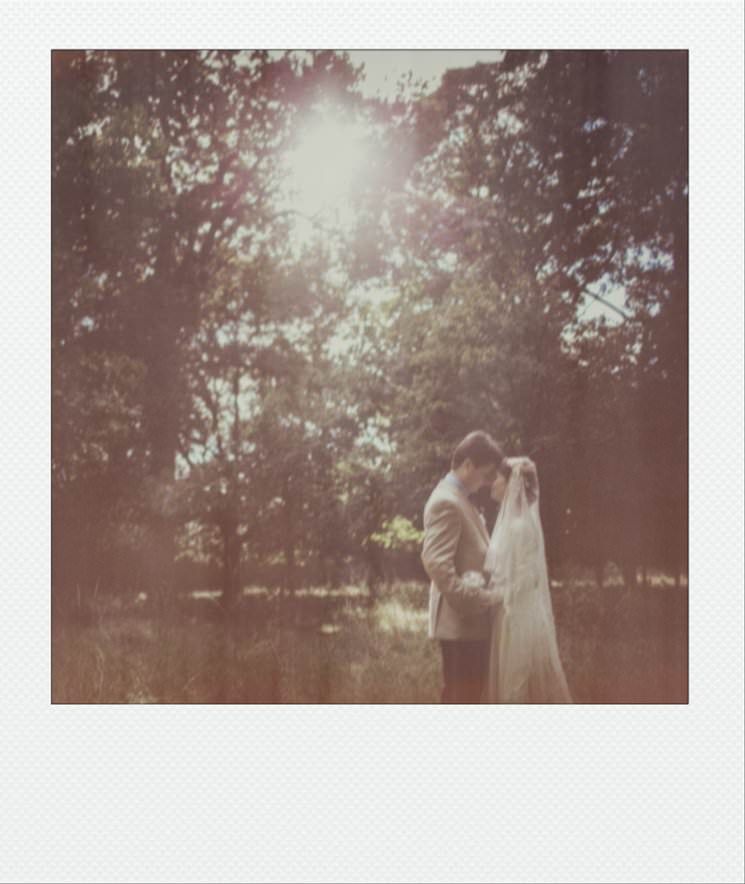 one | Phoenix Park Dublin | 2