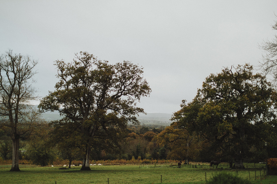 Olivia&Brian | Longueville House wedding | November 1