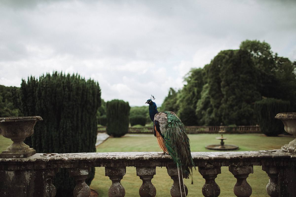 Gloster House wedding - O&M - Ireland wedding photography 4