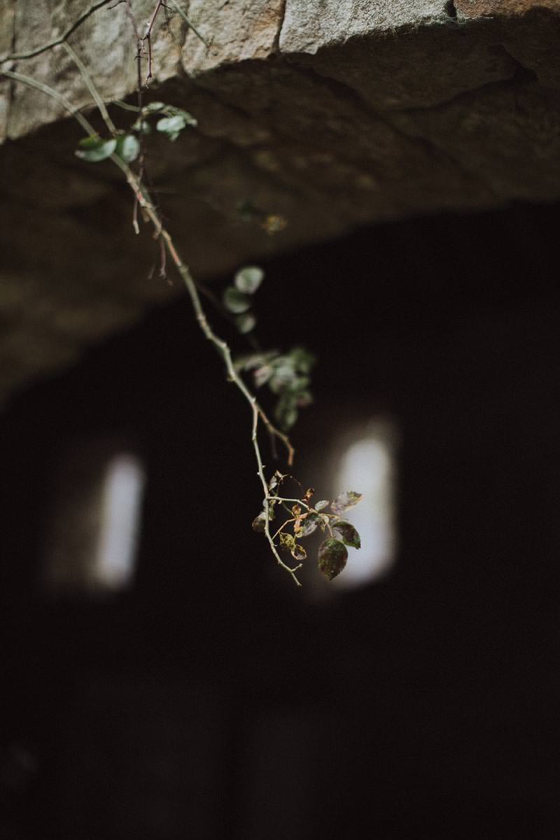 Autumn Love My Dress editorial wedding shot with Petal and Twine 3