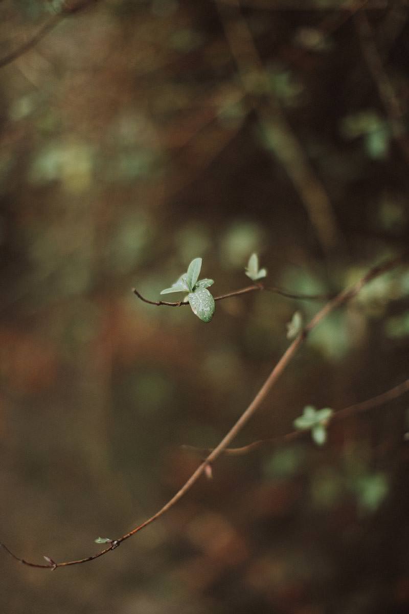 Autumn Love My Dress editorial wedding shot with Petal and Twine 26