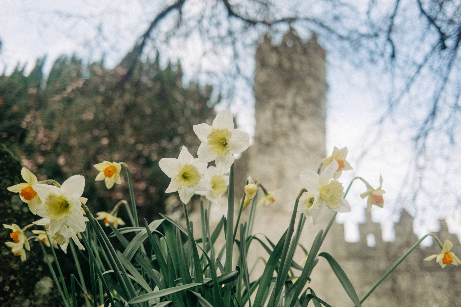 Kilkea Castle Winter wedding - L&J 3